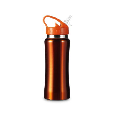 Stainless Steel Drinking Bottle